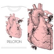 Image of PELOTON - Unnatural Affection For Hornets tape and shirt combo