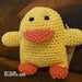 Image of Delightful Duck