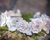 Image of Floral Bridal Crown