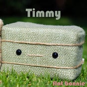 Image of Flat Bonnie's BFF Timmy - Timothy Hay Bale Plush - Handmade
