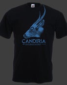 Image of Candiria Steer Tee (Black & Cobalt)