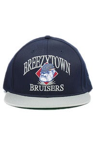 Image of Breezy Bruisers Snap Back