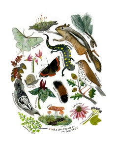 Image of Flora and Fauna of the Midwest:11 x 14 Limited Edition Giclee Print