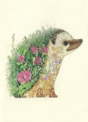 Image of Hedgehog - Print