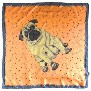 Image of Big Pug