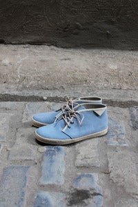 Image of Pointer  KC 