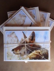 Image of Assorted Notecards: Set of Twelve