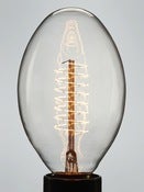Image of OVAL | spiral filament lightbulb | 40W & 60W 