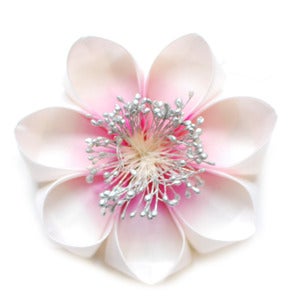 Image of Paradise-rose