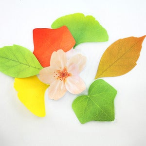 Image of Leaf + Blossom Post It Notes