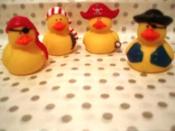 Image of Pirate Ducky