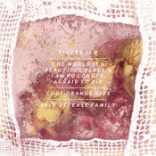 Code Orange Kids / Self Defense Family / The World Is a Beautiful Place / Tigers Jaw - Split 7” / digital