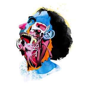 Image of Anatomy03_Quain by Alvaro Hidalgo