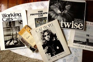 Image of Lot of 6 Fantastic Vintage Cat Photo Books