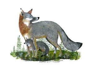 Image of Gray Fox Mama and Kit Limited Edition Archival Inkjet Print