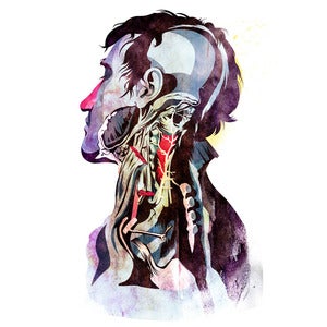 Image of Anatomy_Quain by Alvaro Hidalgo