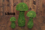 Image of Moss Mushroom Set - THREE Sizes - Photography Prop - NEW