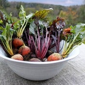 Image of Stoneware Serving Bowl