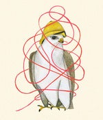 Image of A White Hunter