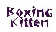 Boxing Kitten